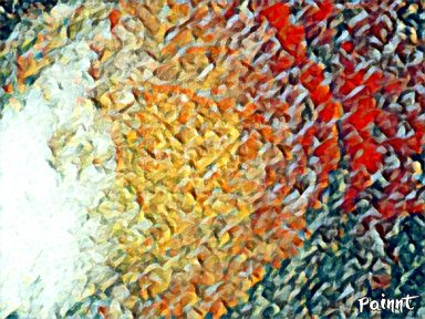 cuadros floreros minimalistas